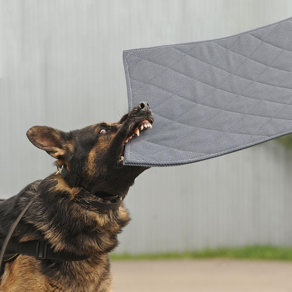 MABOZOO indestructible-dog-bed shows chew-proof durability for aggressive chewers in crates.