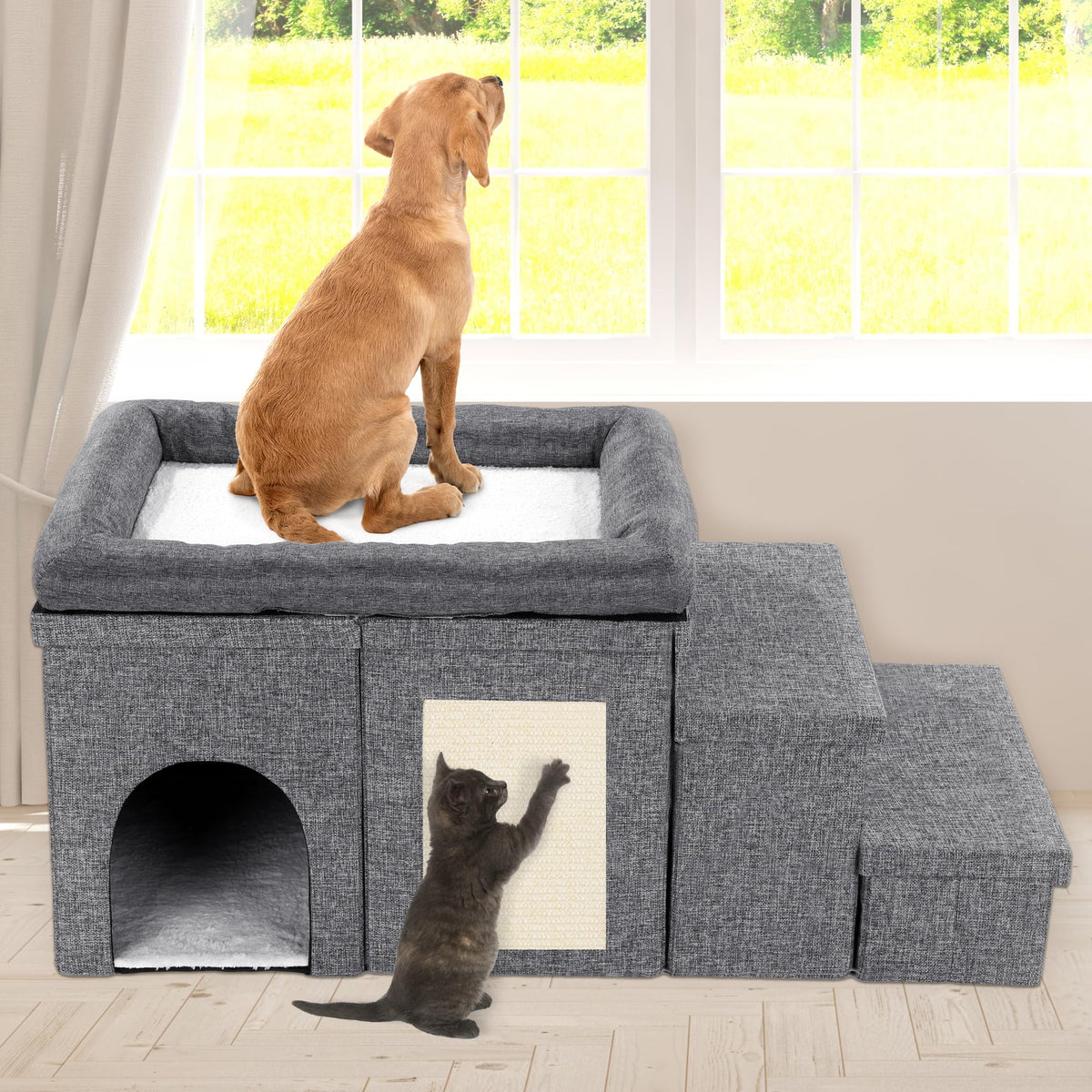 MABOZOO window perch top bed: pet enjoys sunlit view and relaxed lounging.