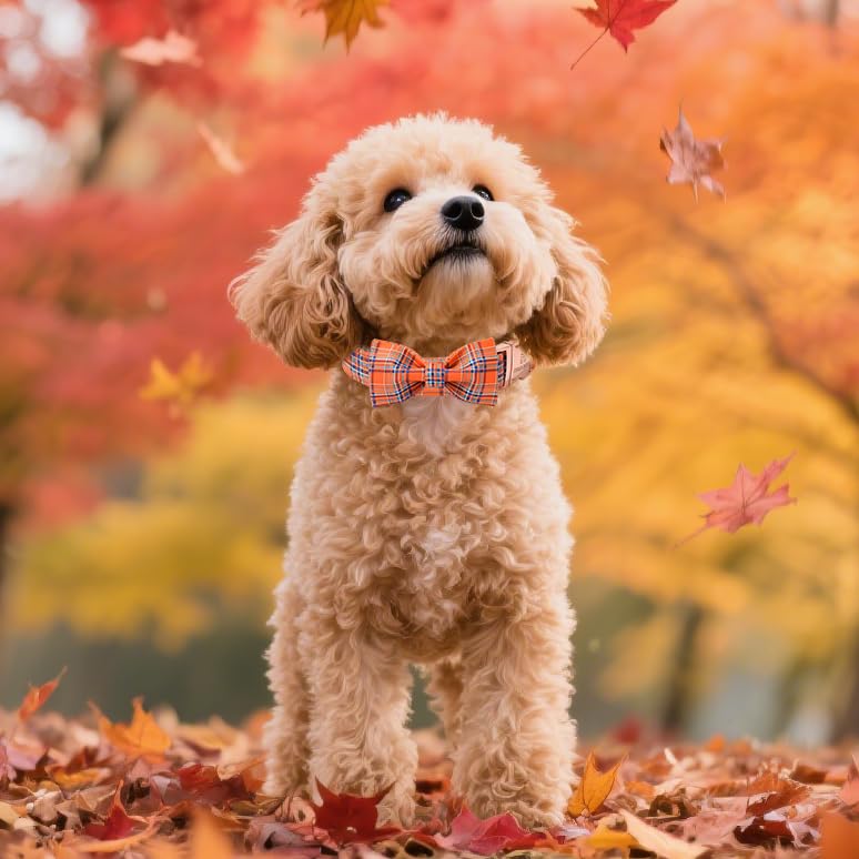 M MACA BATES adjustable strap collar enabling secure fit for growing dogs.