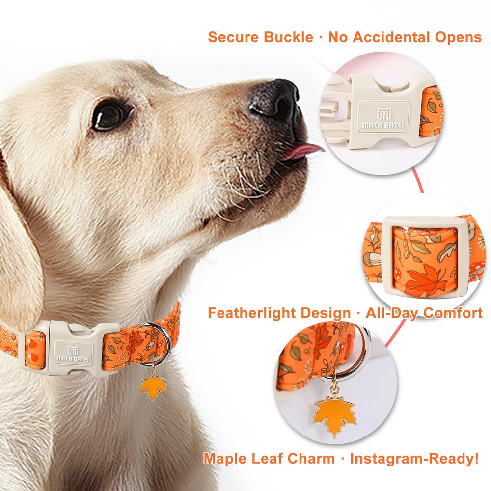 Maca Bates breathable cotton inner lining collar keeps dogs comfy on walks