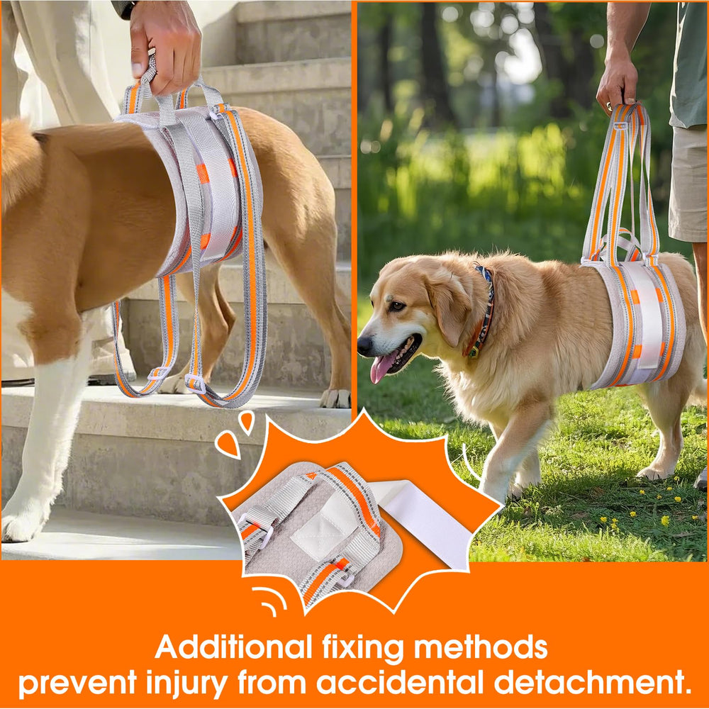 Macamolly portable dog lift harness with adjustable buckles aiding easy lift