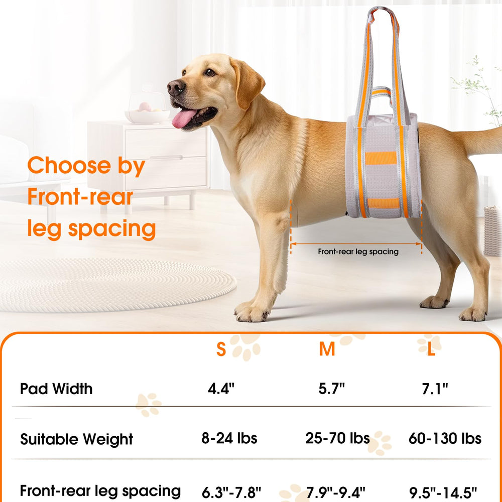 Macamolly breathable-mesh fabric keeps dogs cool and comfortable