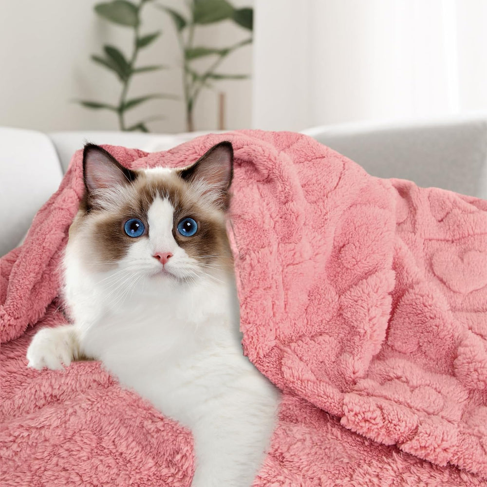 MACEVIA blanket protecting sofa from hair and scratches