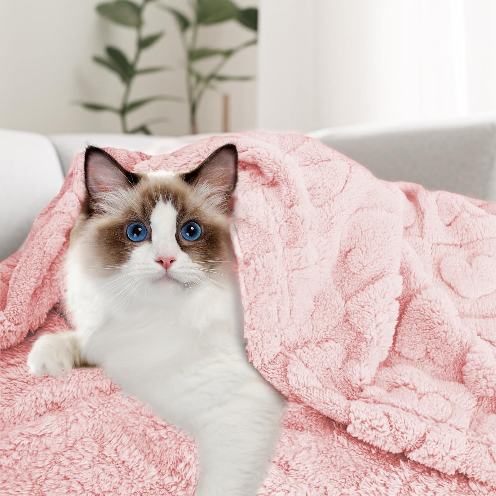MACEVIA fluffy fleece dog blanket protecting furniture from hair and claws