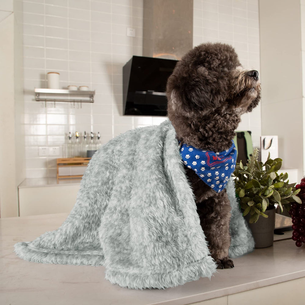 MACEVIA fluffy fleece dog blanket ready for travel and car rides.