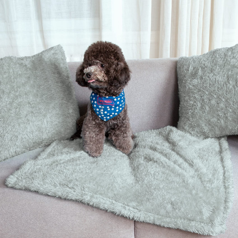 MACEVIA fluffy fleece dog blanket highlighting winter warmth for pets.
