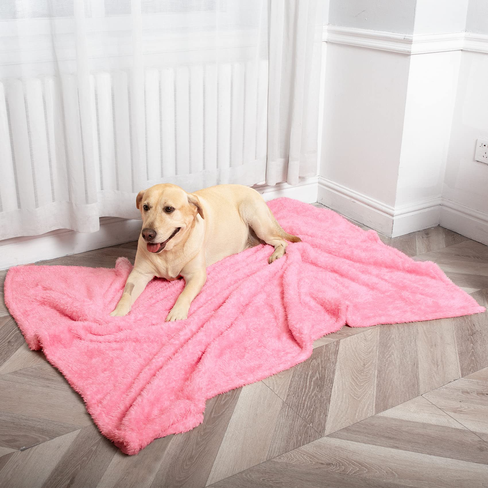 MACEVIA furniture-protector blanket guarding bed and couch from shedding and scratches.