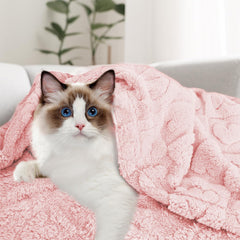 MACEVIA washable pet blanket highlights easy care and quick drying for daily comfort.
