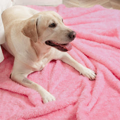 MACEVIA travel-dog-blanket in car seat shows portability for on-the-go adventures.