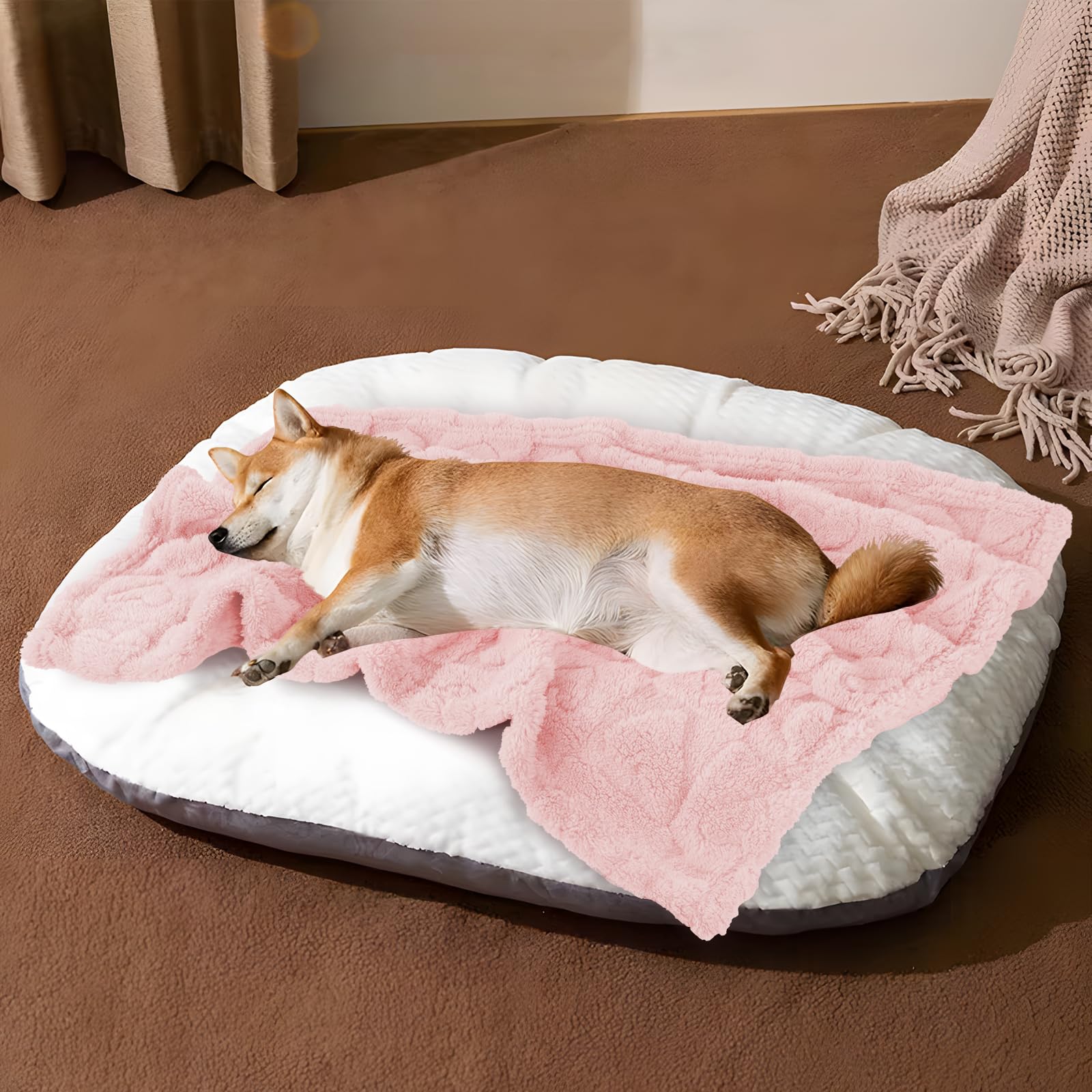 MACEVIA travel blanket for pets shown packed and lightweight for adventures.