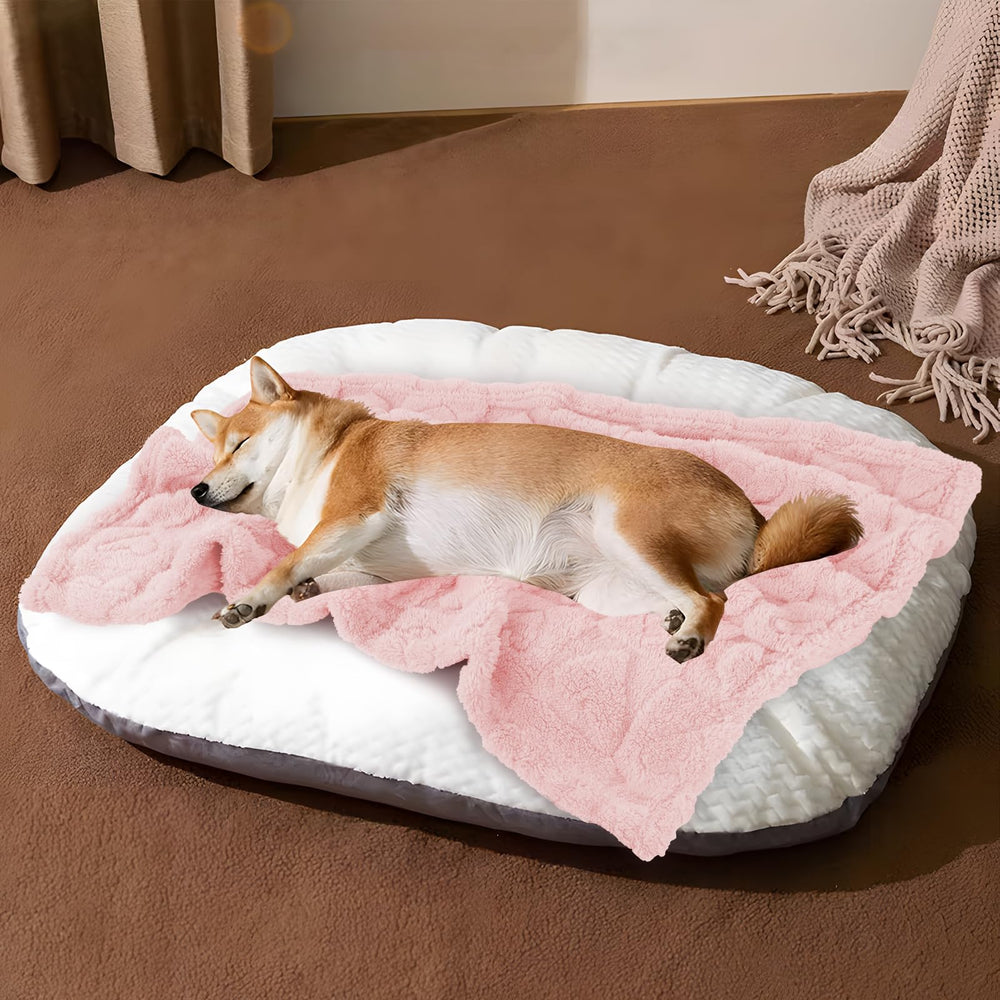 MACEVIA travel blanket for pets shown packed and lightweight for adventures.