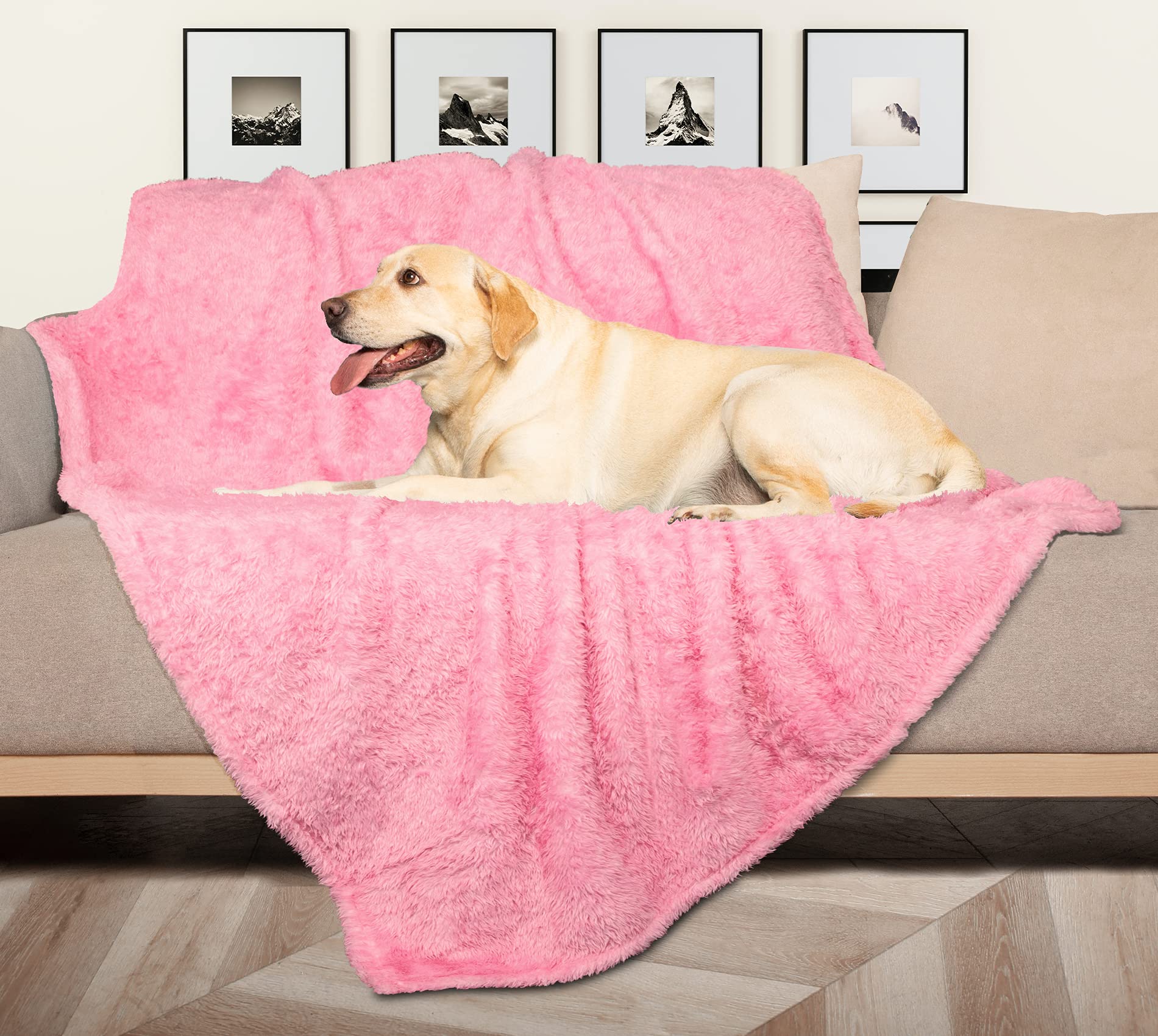 MACEVIA warm plush fabric blanket for pets showing comfortable warmth during chilly evenings.