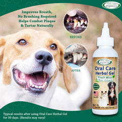 Mad About Organics oral-care gel mint-breath blend breath-freshening for pets