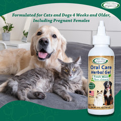 Mad About Organics oral-care gel no-brushing-needed ease of daily pet dental care