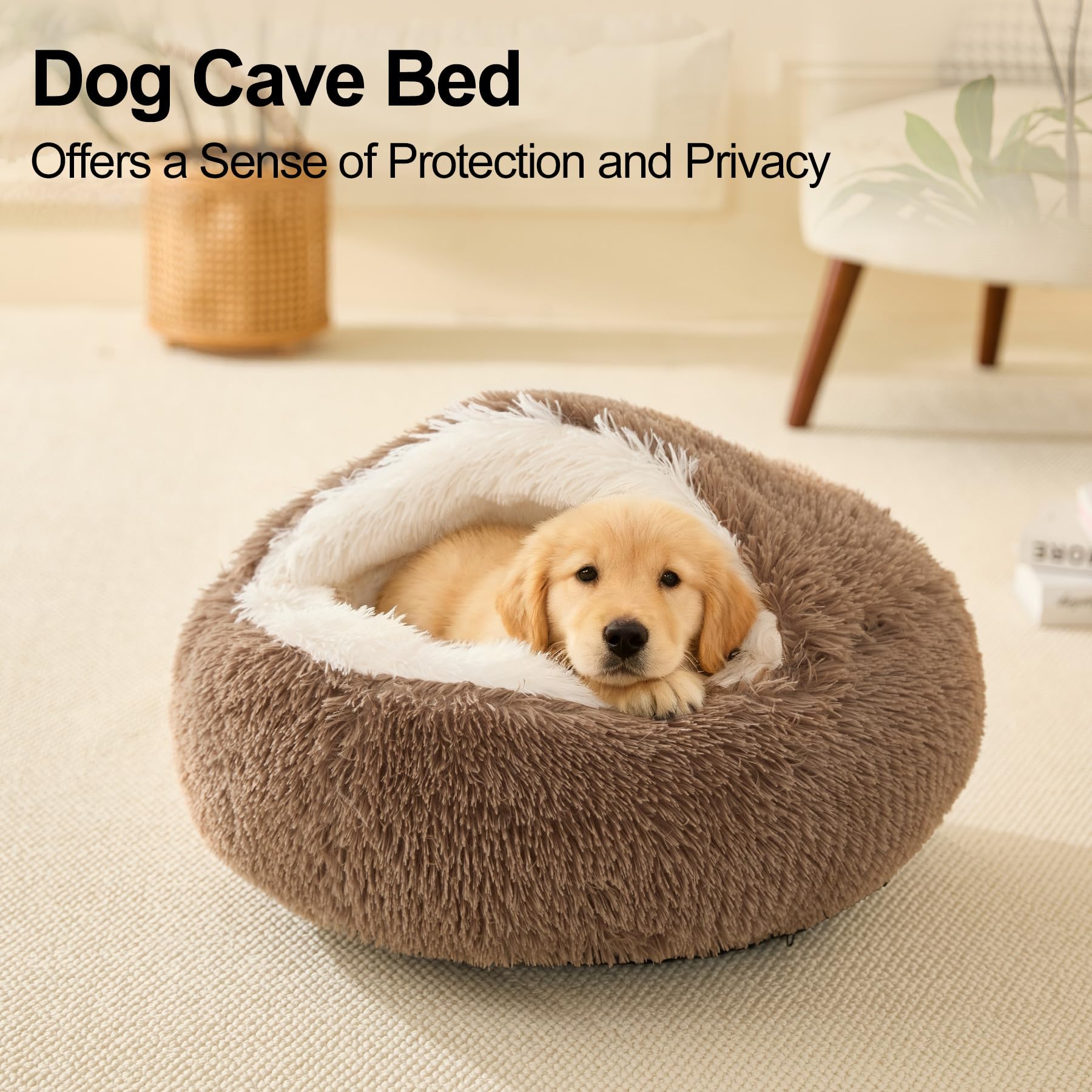 MADDEMCUTE two-ways usage flat bed vs cat cave demonstrates versatile pet comfort.
