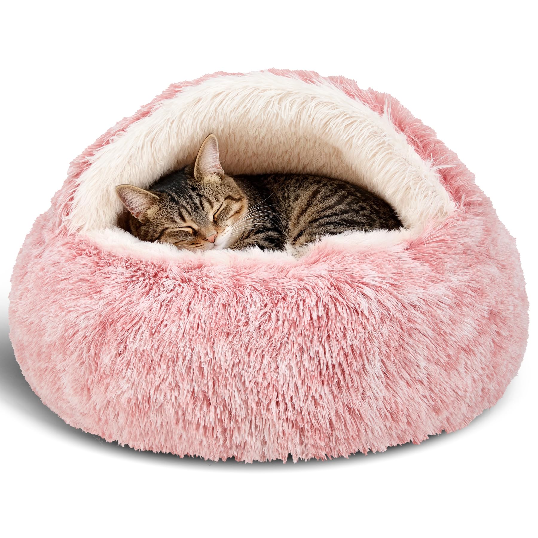 MADDEMCUTE Bean Mush bed with hooded cover offers a cozy den-like hideaway for pets.