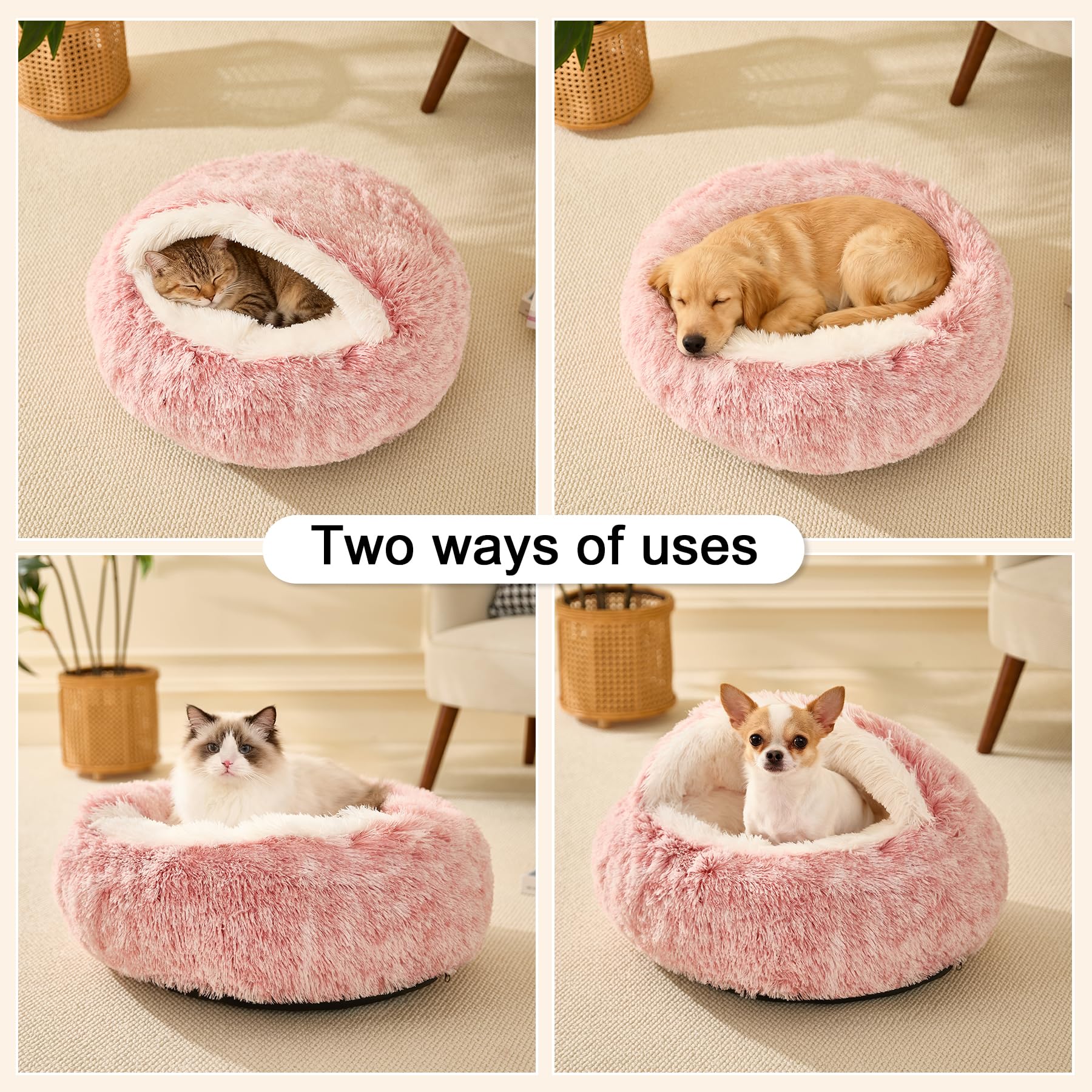 MADDEMCUTE Bean Mush bed suits small to medium pets up to 15–25 lbs.