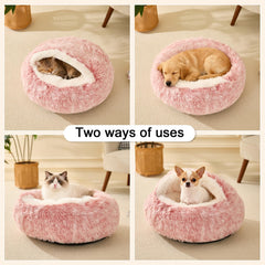 MADDEMCUTE Bean Mush bed suits small to medium pets up to 15–25 lbs.
