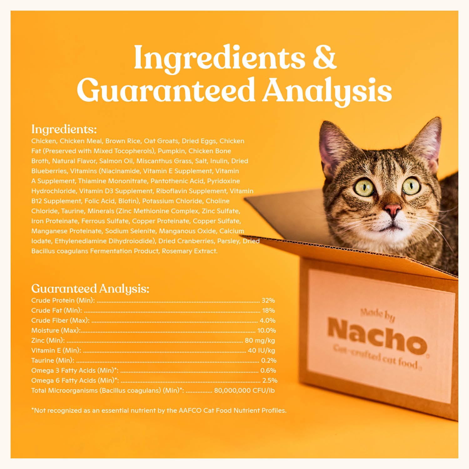 Pumpkin and cranberries in Made by Nacho kibble support digestion and fiber.