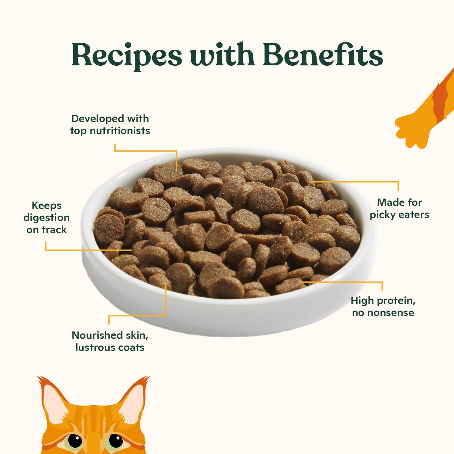 Made by Nacho kibble close-up reveals crunchy texture cats crave during meals.
