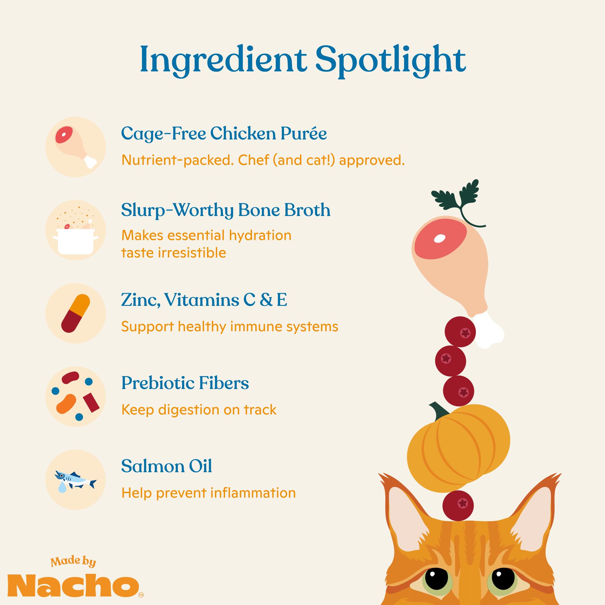 Made by Nacho Immune Support puree bone-broth closeup, adds moisture and aroma.