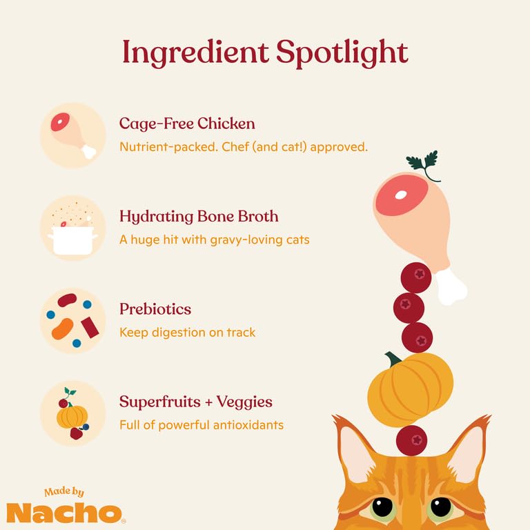 Made by Nacho wet cat food cat eating demonstrates a palatable, hydrating meal option.