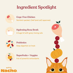 Made by Nacho wet cat food cat eating demonstrates a palatable, hydrating meal option.