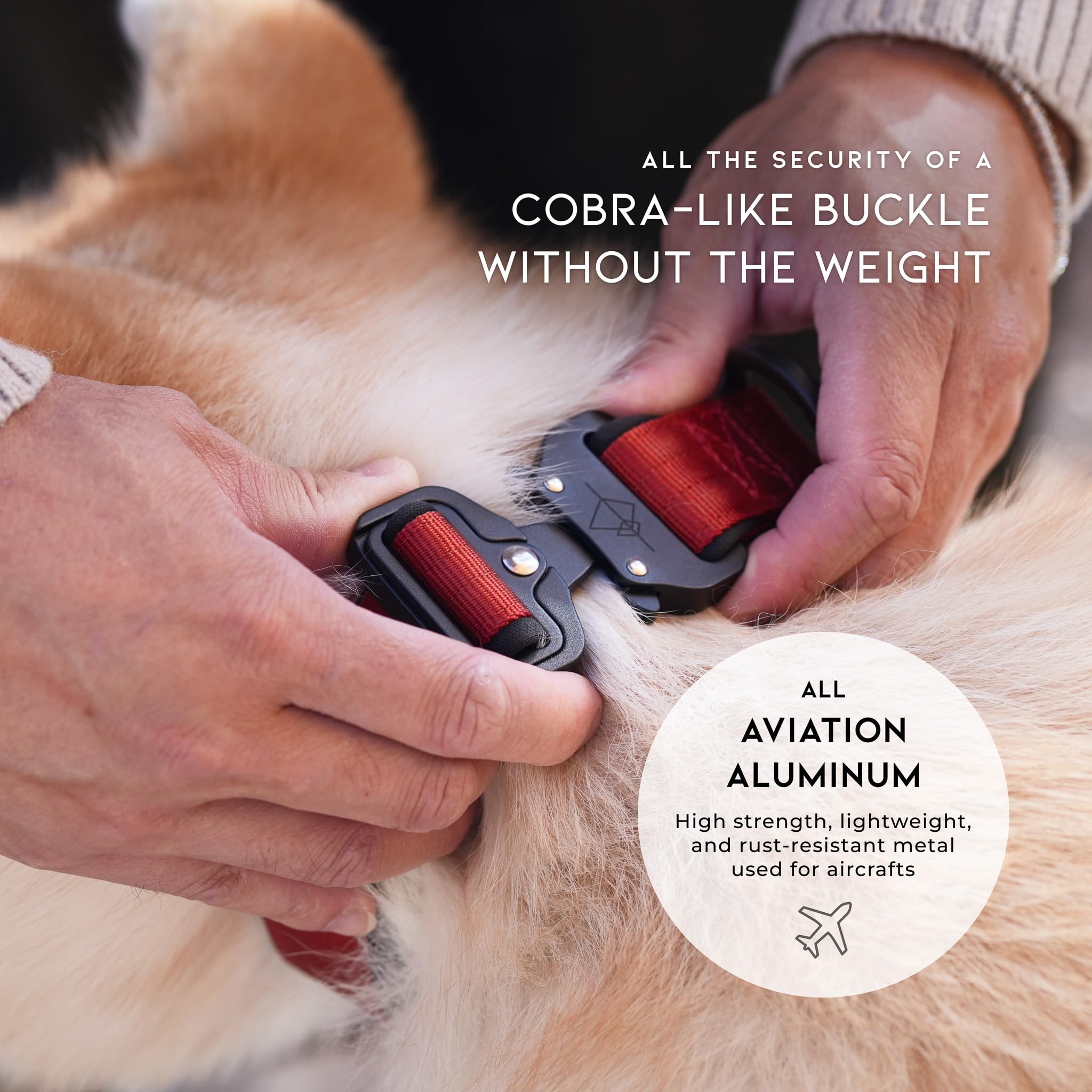 MADE TO ROAM Quick-release buckle close-up showcases easy on/off for busy owners