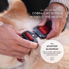 MADE TO ROAM Quick-release buckle close-up showcases easy on/off for busy owners