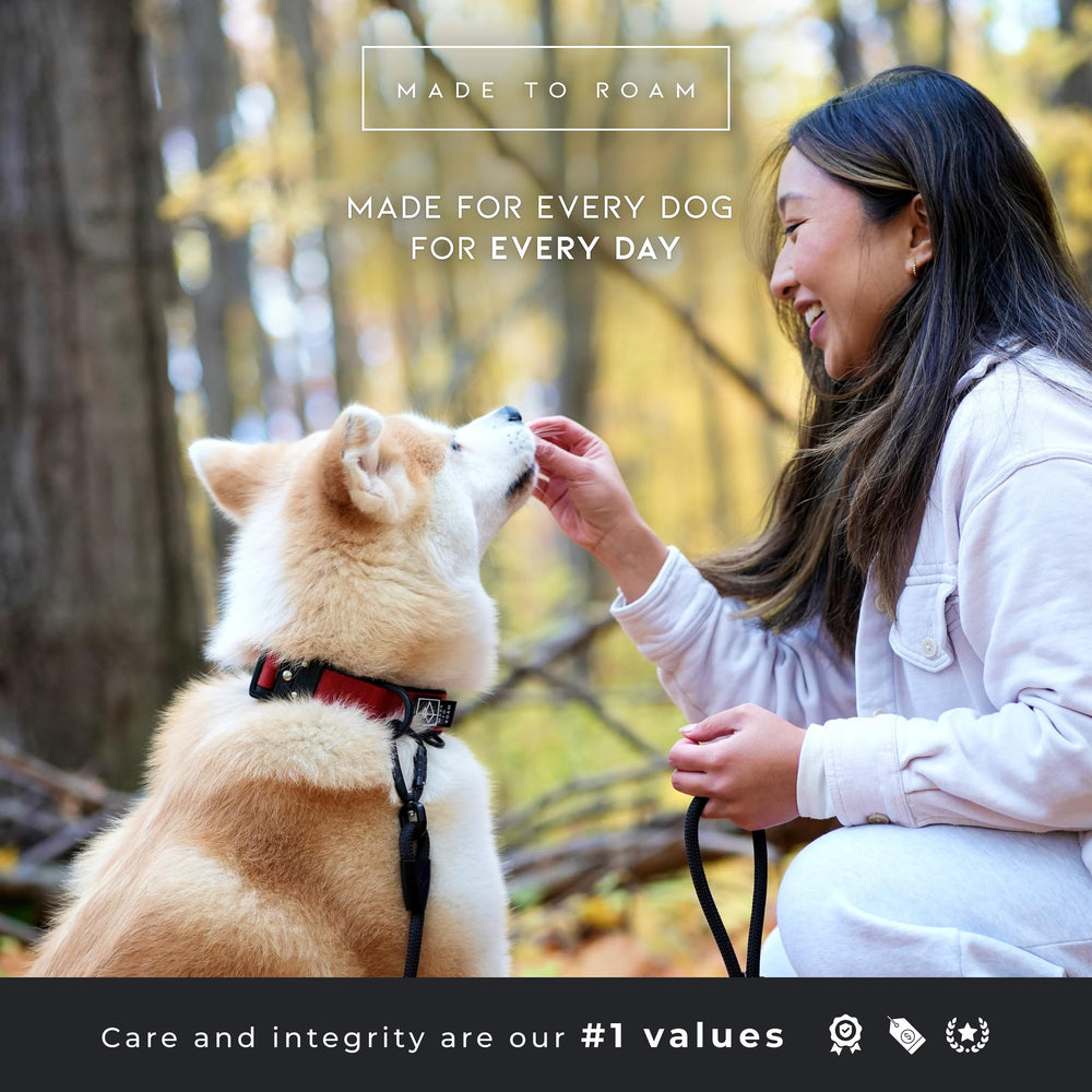 MADE TO ROAM Size range close-up demonstrates options from tiny to large breeds
