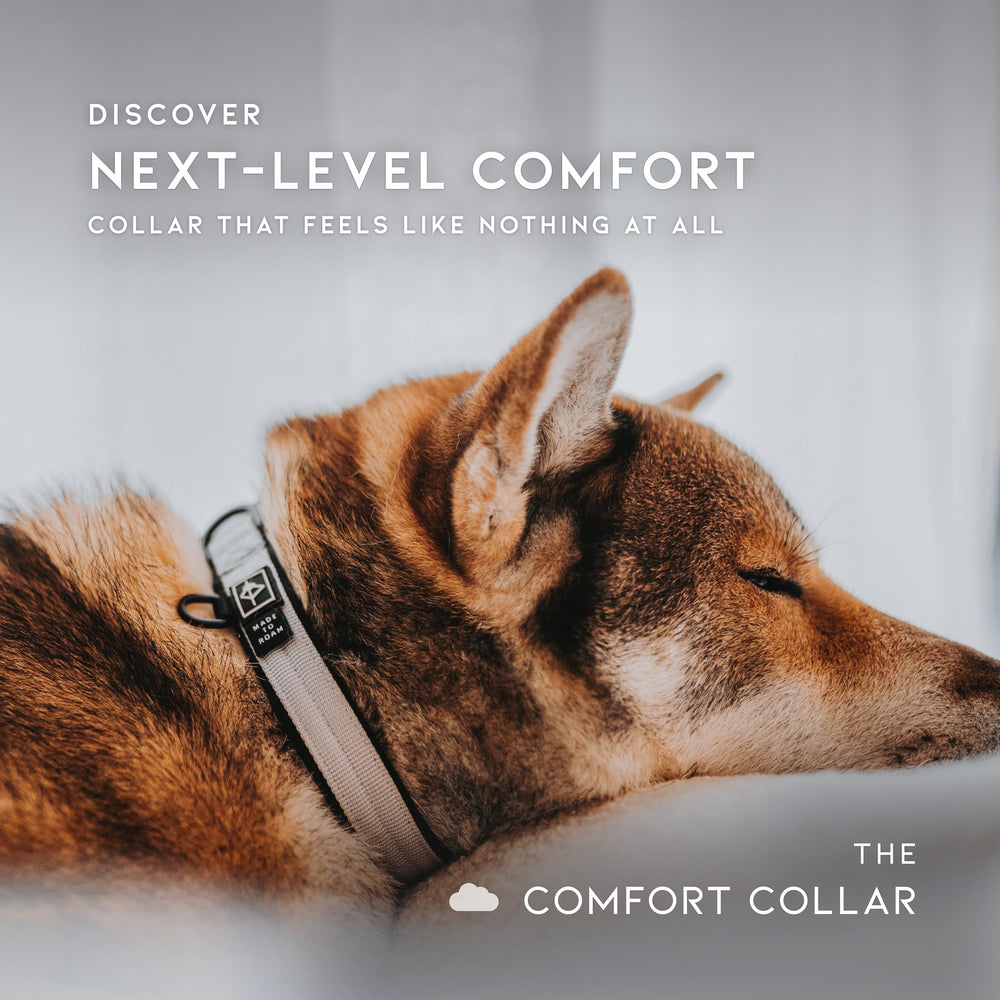 MADE TO ROAM Comfort Collar texas-flair label captures stylish everyday wear.