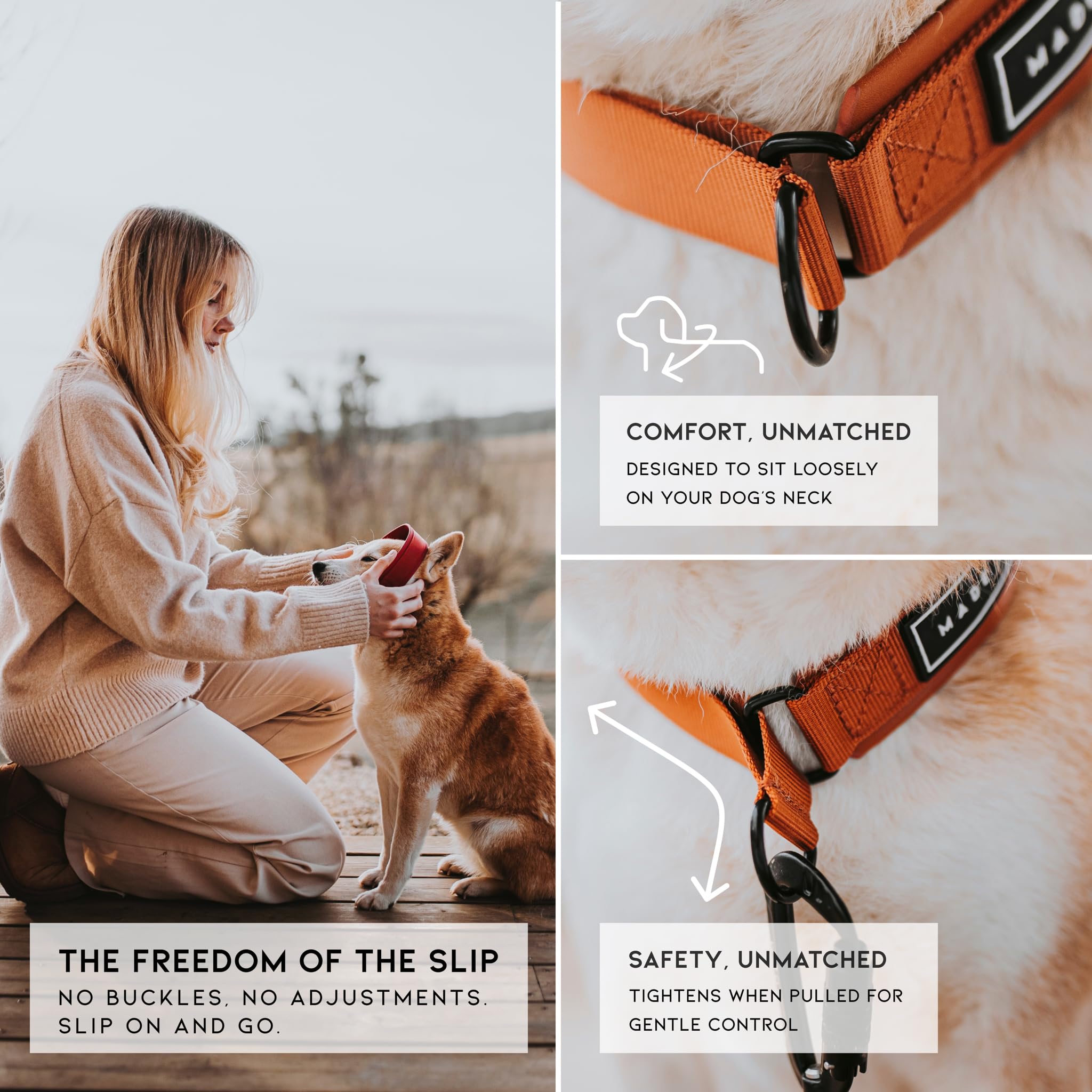 MADE TO ROAM dog-wearing everyday-collar closeup demonstrates secure fit for daily adventures.