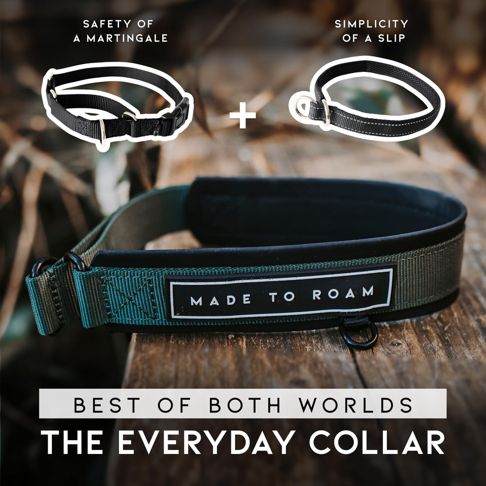 Made To Roam Everyday Collar close-up demonstrates slip-on convenience for quick walks
