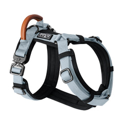 MADE TO ROAM Explorer Harness Alaska Daybreak front view shows a comfortable fit for everyday dog adventures