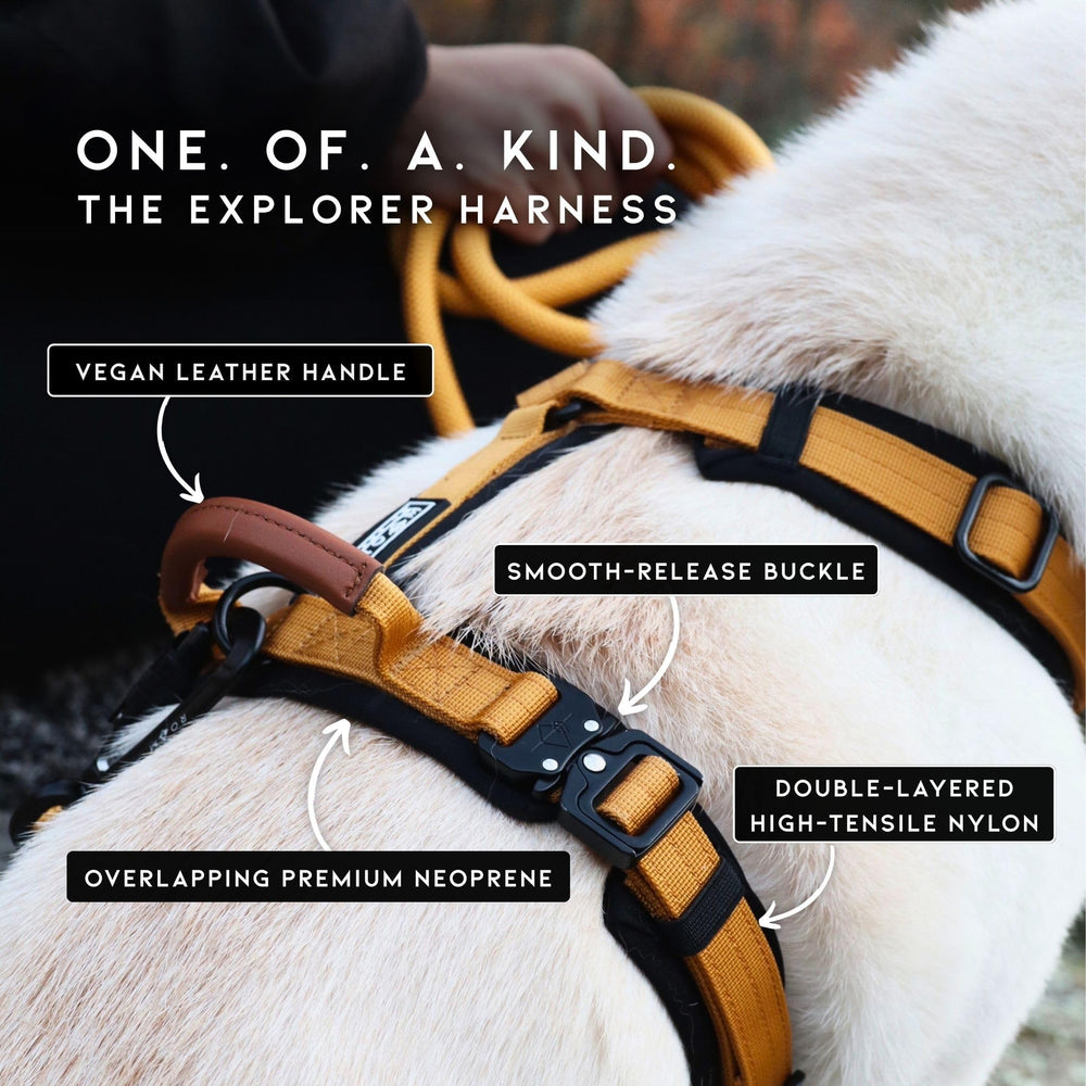 MADE TO ROAM Explorer Harness Alaska Daybreak side view highlights movement-friendly design for comfortable walks