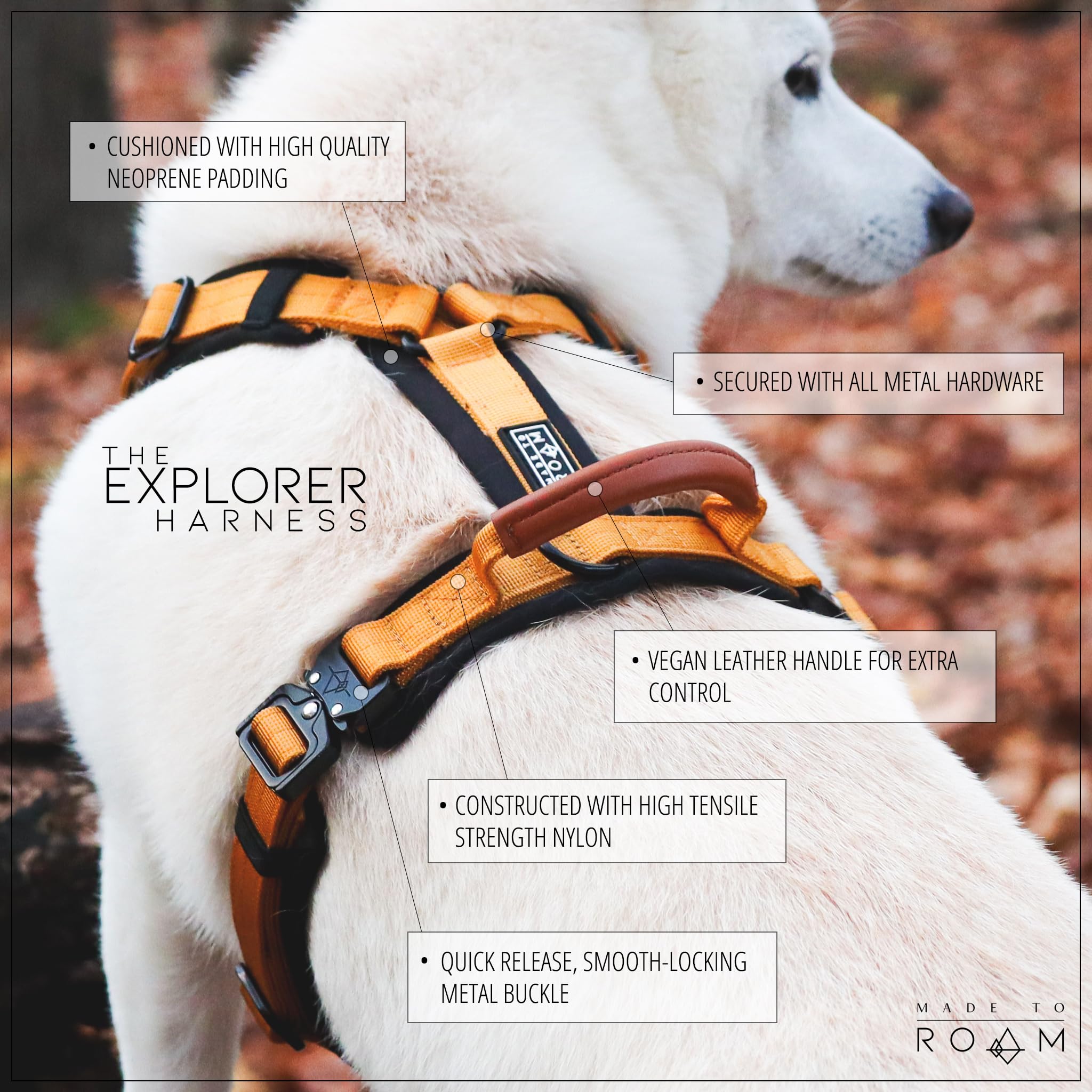 MADE TO ROAM Explorer Harness back view indicates secure metal buckles for quick on/off