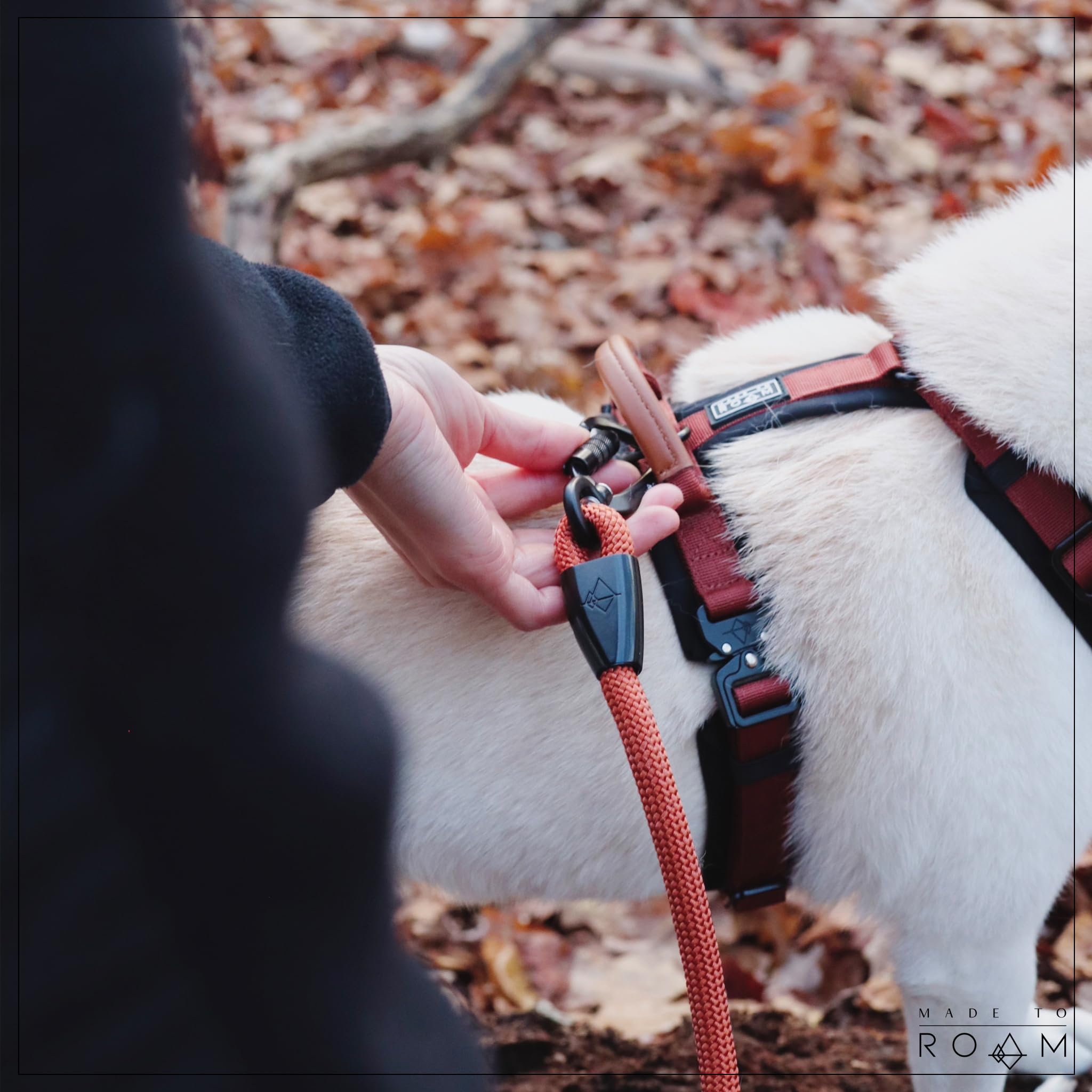 MADE TO ROAM Explorer Harness leather handle closeup provides extra control