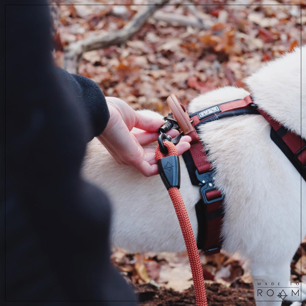 MADE TO ROAM Explorer Harness leather handle closeup provides extra control