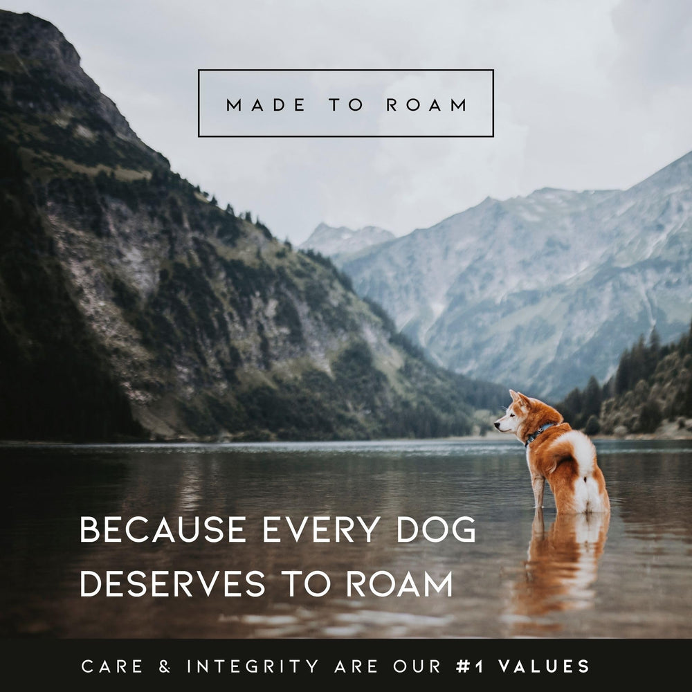 MADE TO ROAM Explorer Harness metal hardware closeup offers quick-release buckles and secure leash attachment