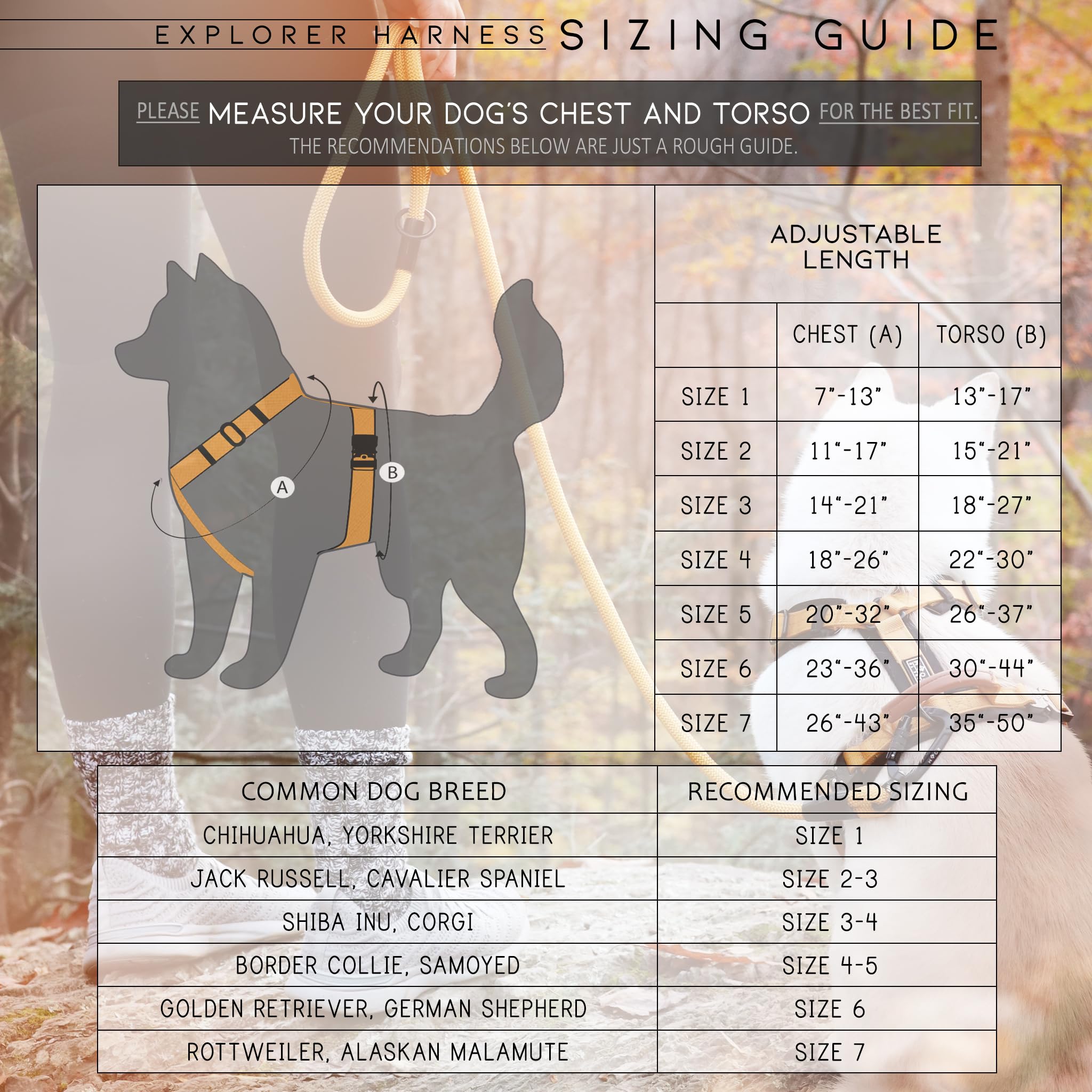 MADE TO ROAM Explorer Harness neoprene padding closeup adds soft comfort on walks