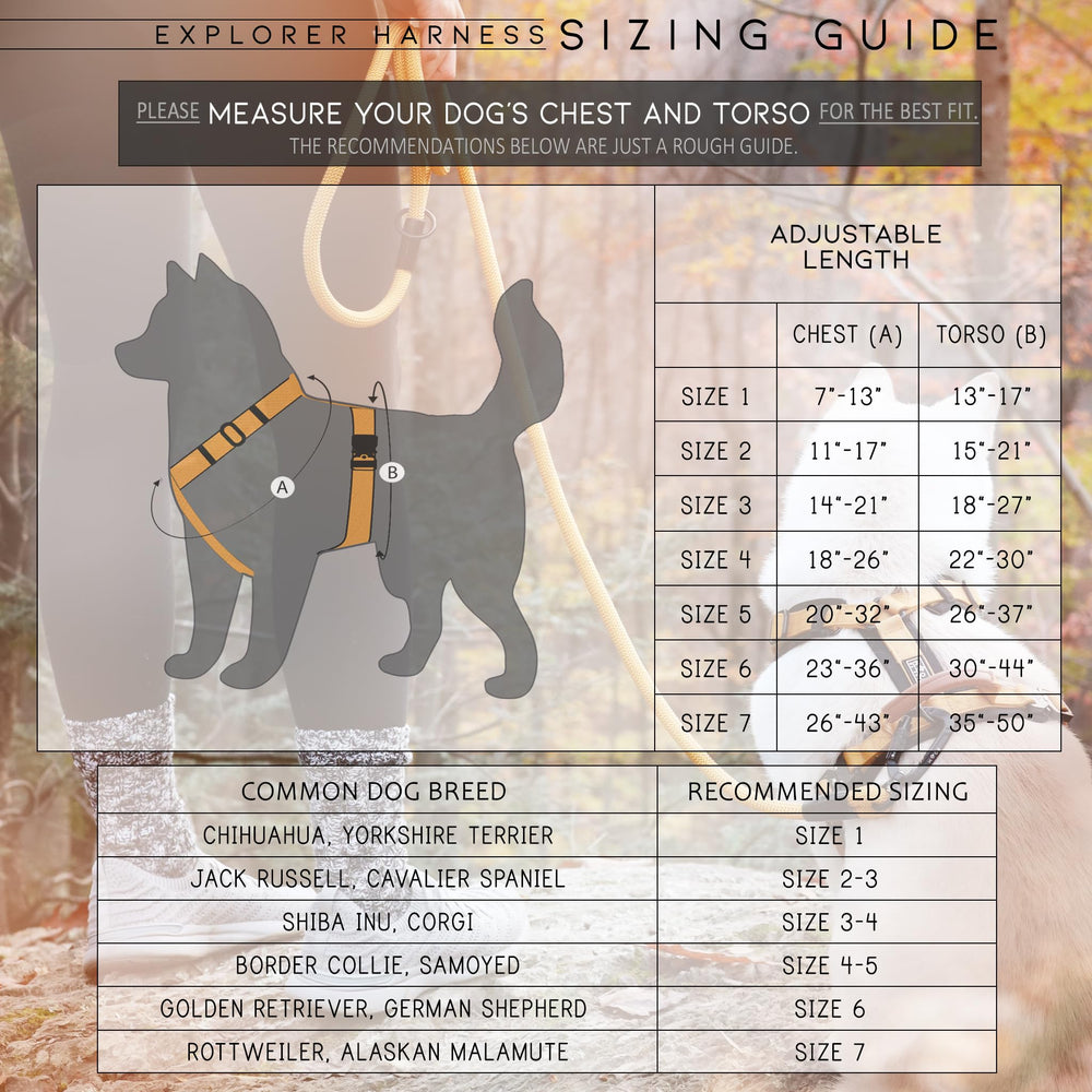 MADE TO ROAM Explorer Harness neoprene padding closeup adds soft comfort on walks