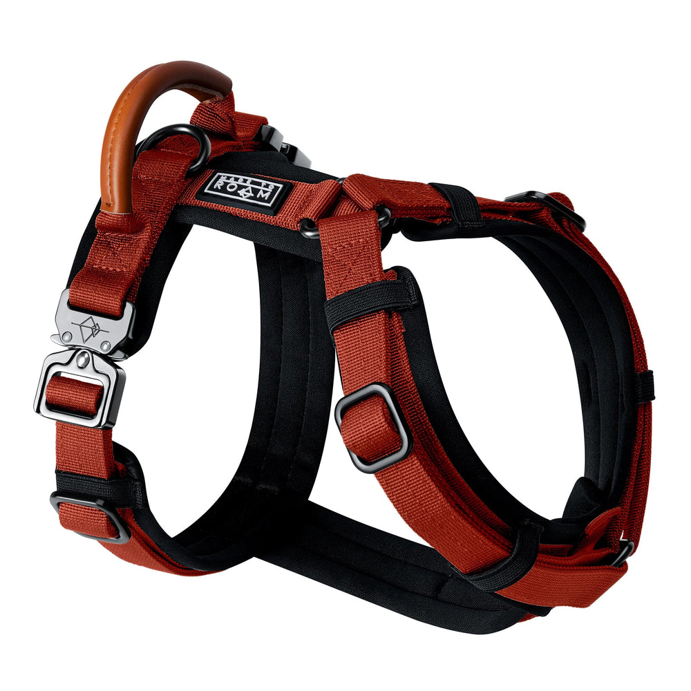 MADE TO ROAM Explorer Harness padding closeup shows soft neoprene comfort for dogs