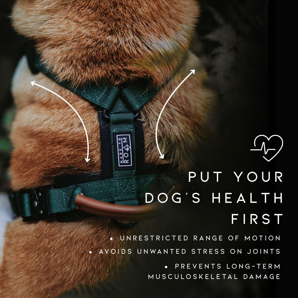 MADE TO ROAM Explorer Harness Y-shaped design enabling natural shoulder movement