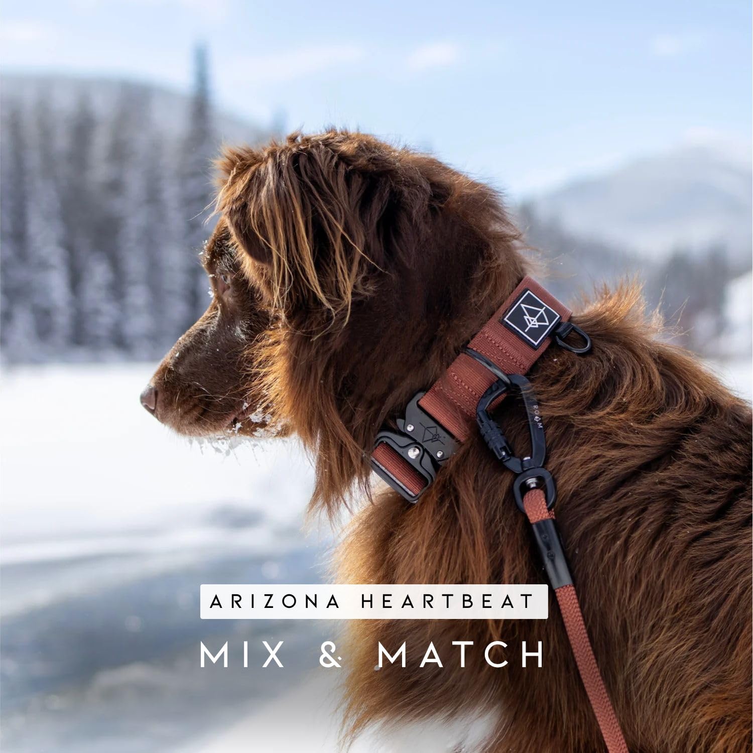 Made To Roam Explorer Leash Oregon Haze color enhances visibility on trails.