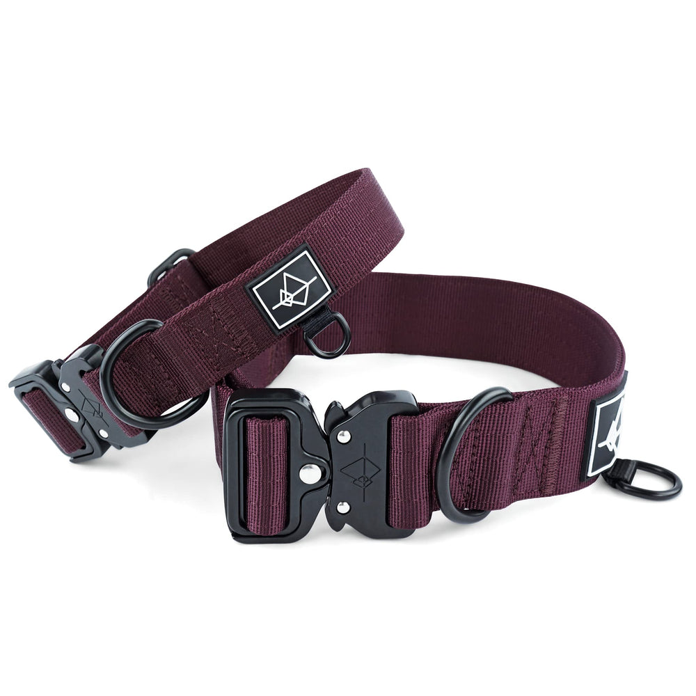 Made to ROAM Premium Dog Collar double-layer nylon weave shows rugged durability for adventures