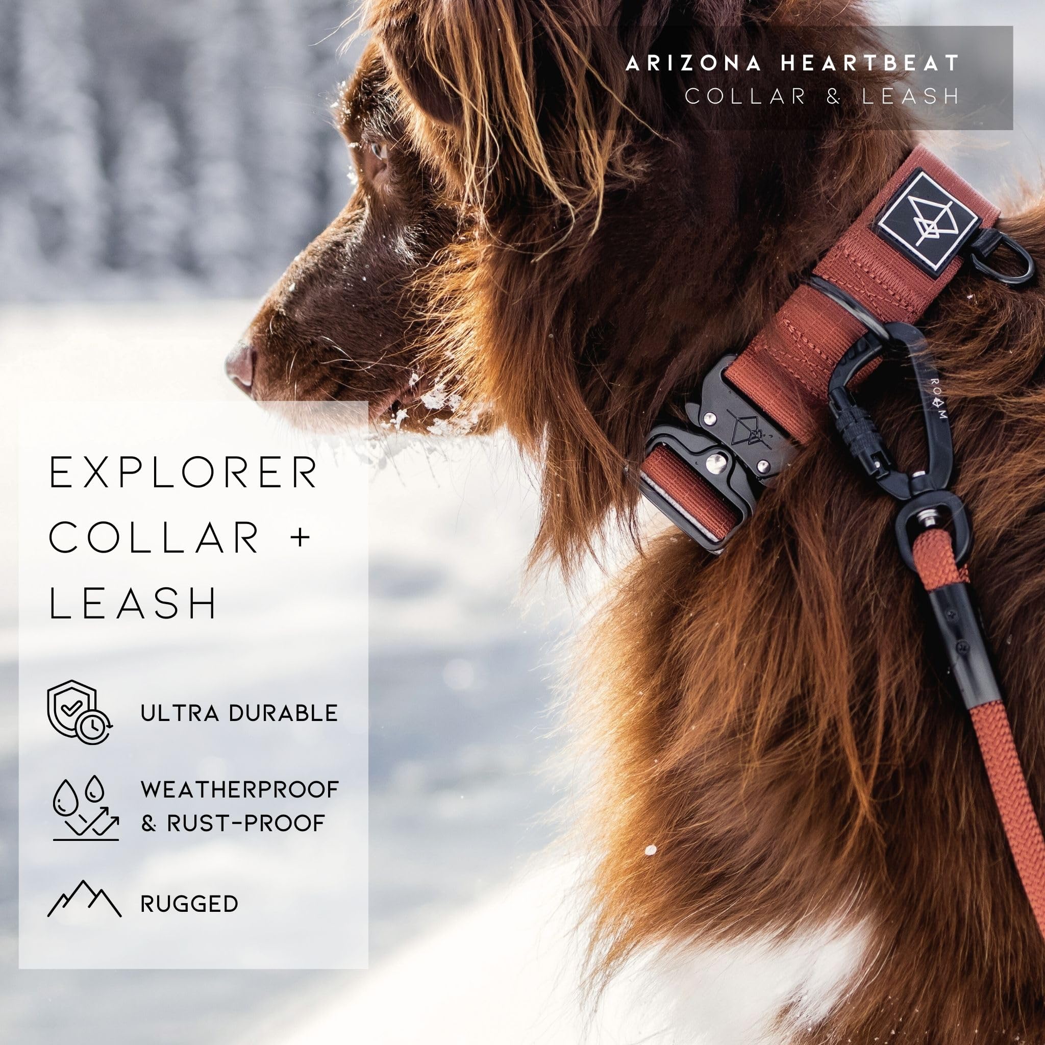 Made to ROAM Premium Dog Collar Texas flair design for stylish outdoor adventures