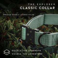 Made to ROAM Premium Dog Collar weatherproof hardware demonstrates long-lasting performance in any season