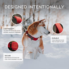MADE TO ROAM premium everyday dog collar lightweight comfort enhances all-day wear.