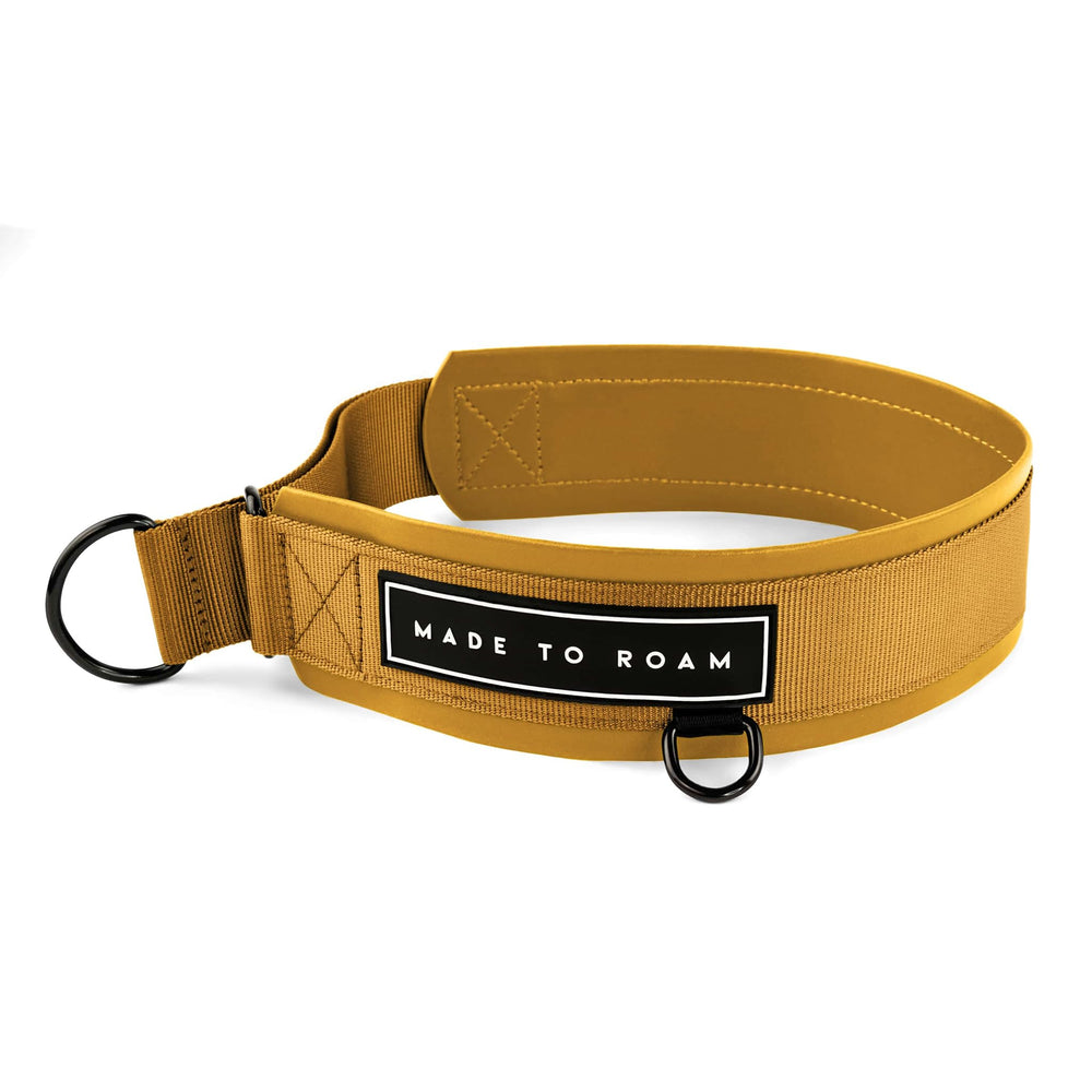 MADE TO ROAM premium everyday dog collar martingale overview highlights slip-on convenience.