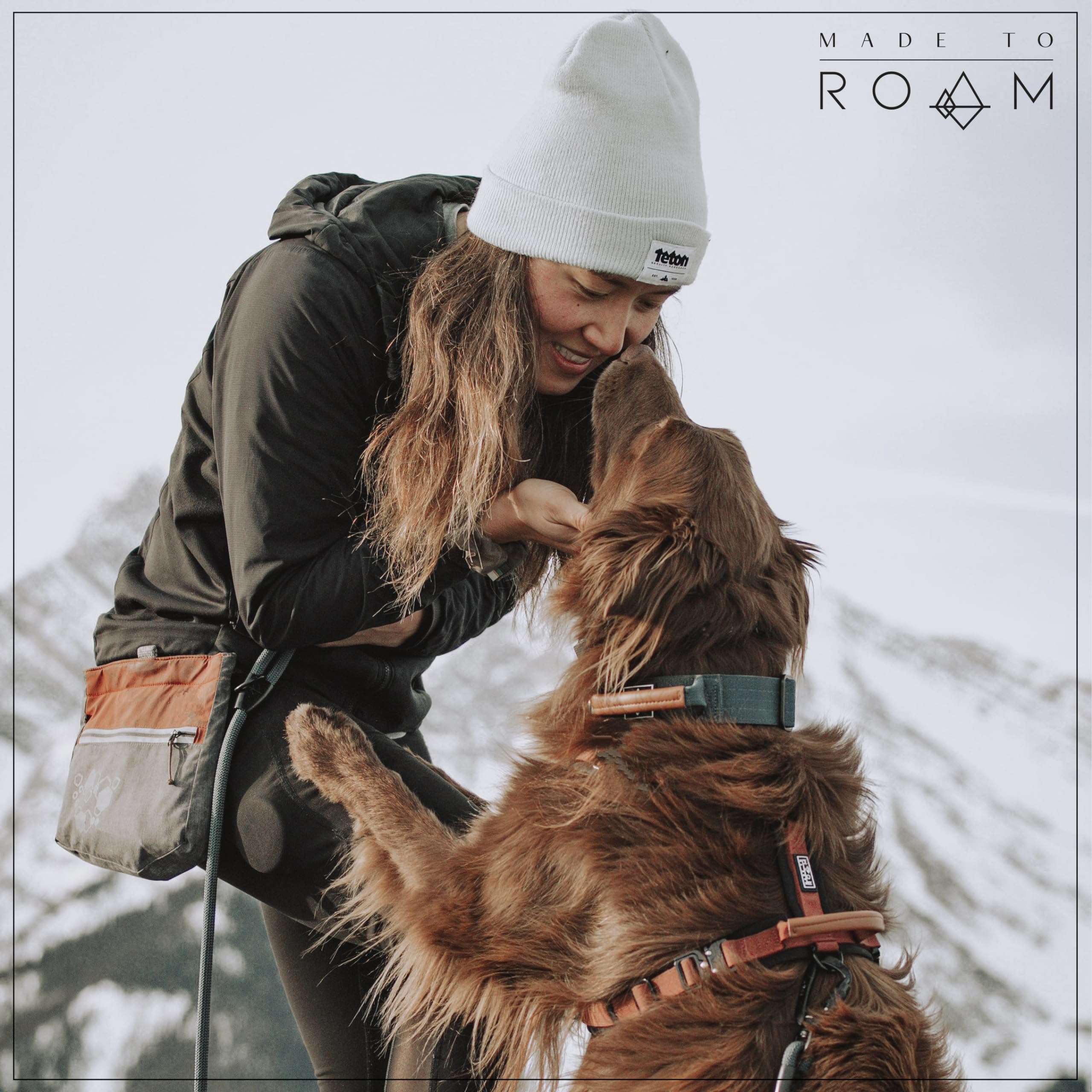 MADE TO ROAM Premium Everyday Leash vibrant color options